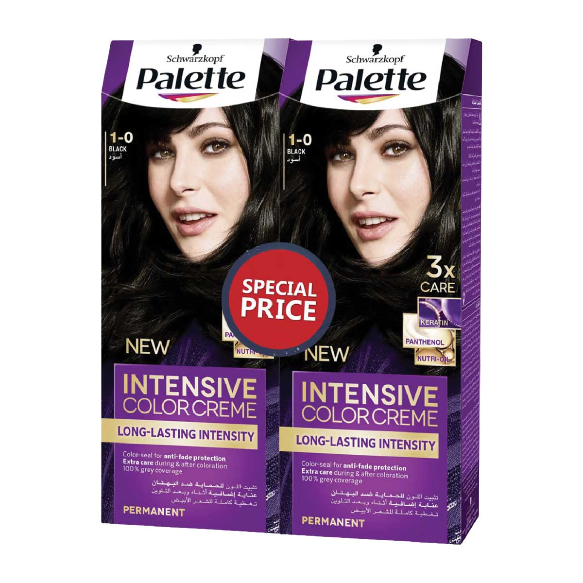 palette-intensive-color-creme-black-2x100ml