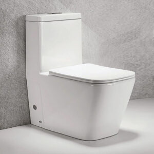 washdown-one-pieces-toilet-30cm