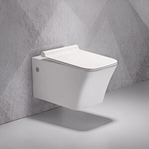 water-closet-toilet