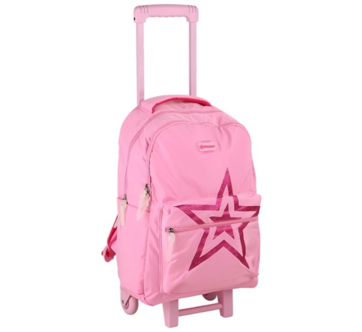 Trolly-Bag-18-Inch-Pink
