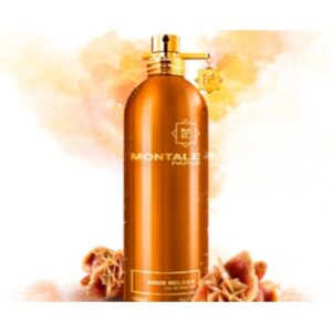 Montale-Aoud-Melody-Edp-U-100-Ml