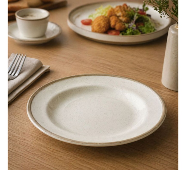 melamine-dinner-plate-10-inch-img-380