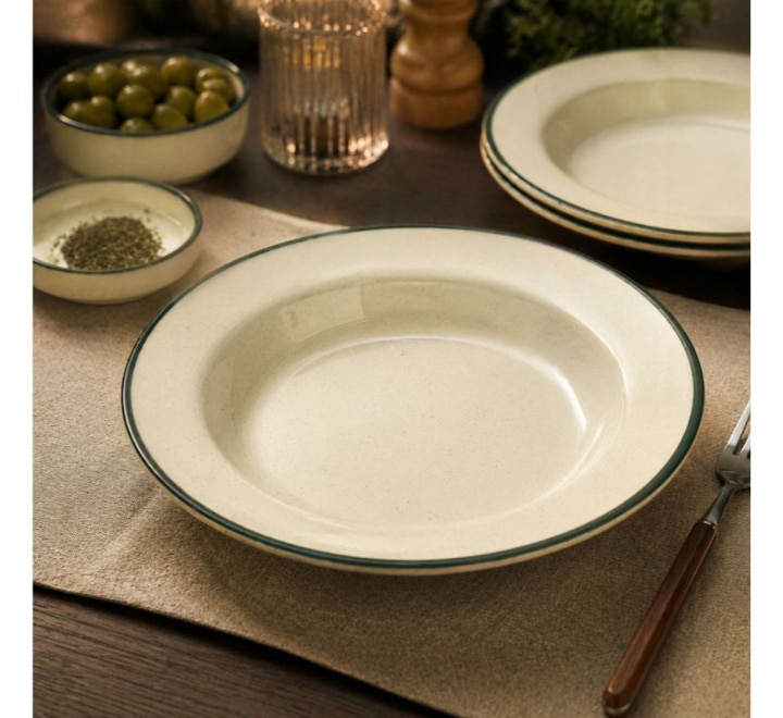 melamine-dinner-plate-10-inch-img-382