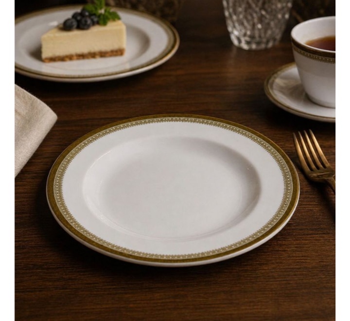 melamine-dinner-plate-8-inch-img-384