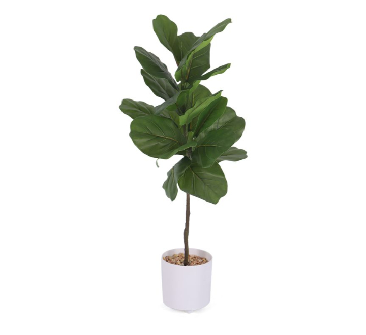 small-tree-with-pot-75cm-0224-y156