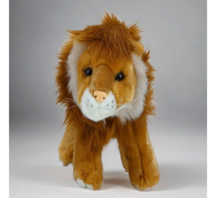 soft-lion